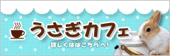 うさぎカフェ