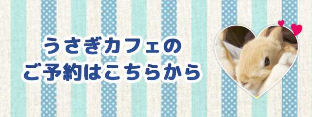 ふれあいひろばのお問い合わせはこちら