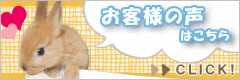 お客様の声はこちら