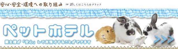 ペットホテル