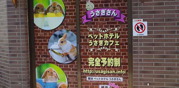 右手の角にある茶色いお店になります