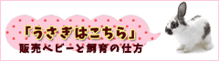 「うさぎはこちら」販売ベビーと飼育の仕方