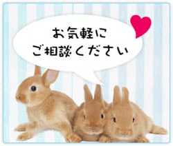 うさぎカフェ